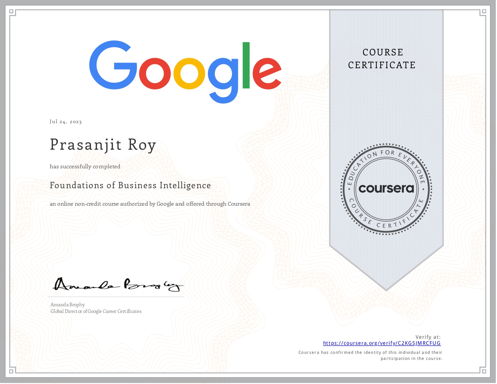 Business Intelligence Professional